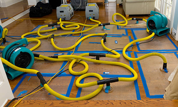 Professional Structural Drying And Dehumidification technician working in Vandalia, IL